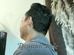 Dominicsteele
