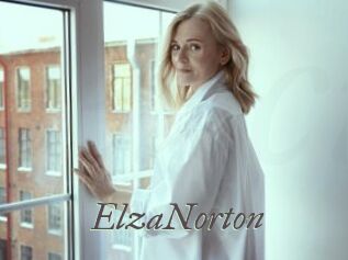 ElzaNorton Sexcams city