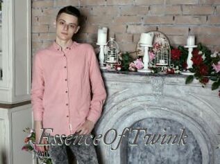 EssenceOfTwink