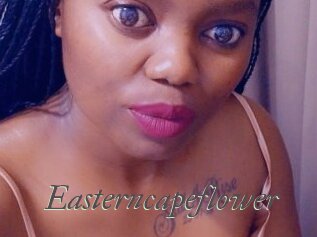 Easterncapeflower