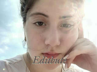 Editbute