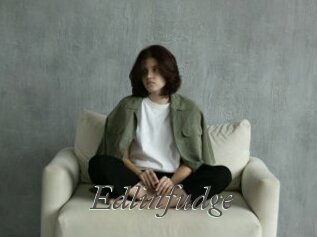 Edlinfudge