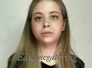 Edwinegathring