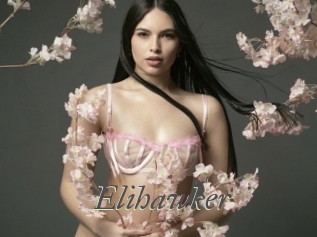 elihawker Sexcams city