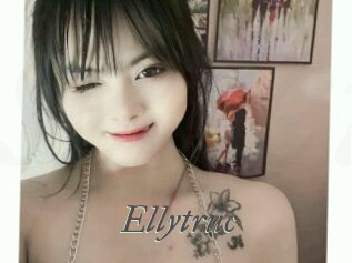 Ellytruc