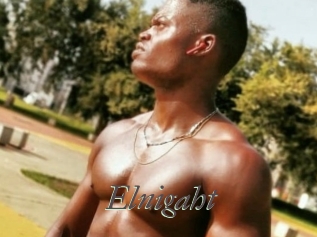 Elnigaht