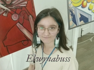 Elwynabuss
