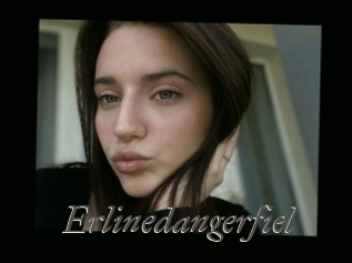 Erlinedangerfiel