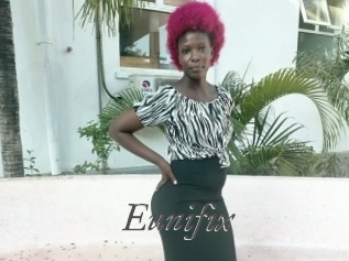 Eunifix
