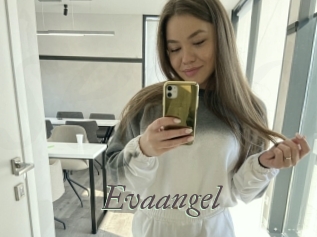 Evaangel