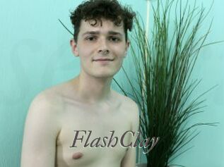 FlashClay