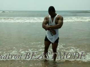 Flexatron_BEASTMODE