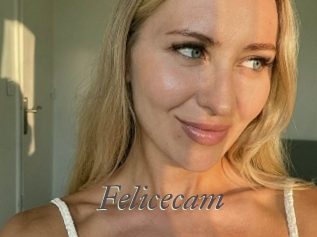 Felicecam
