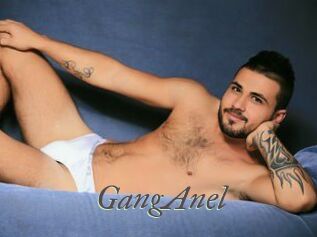 GangAnel