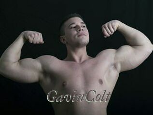 GavinColt