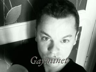 Gayminet
