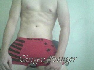 GingerAvenger