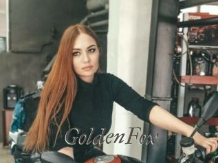 GoldenFox