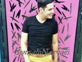 GonzaloNarvaes Sexcams city