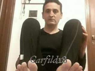 Garfild18