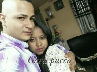 Garu_pucca