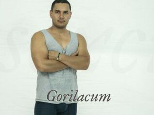 Gorilacum
