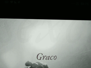 graco Sexcams city