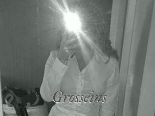 Grosseins