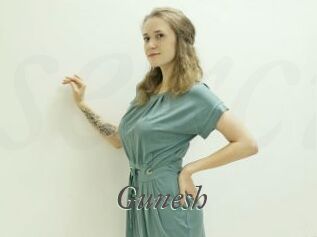 Gunesh