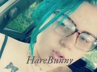 HareBunny