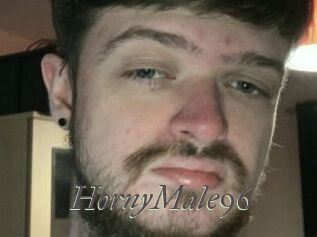 HornyMale96