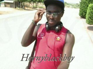 Hornyblackboy