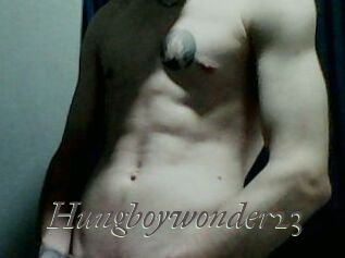 Hungboywonder23