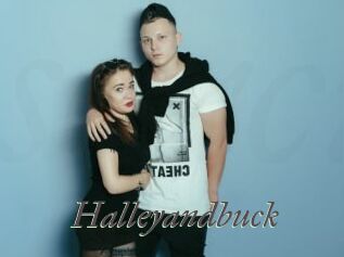 Halleyandbuck