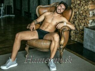 Hamermusk