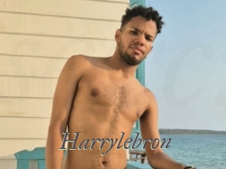 Harrylebron