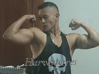 harveytorres Sexcams city