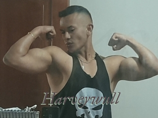 Harveywull