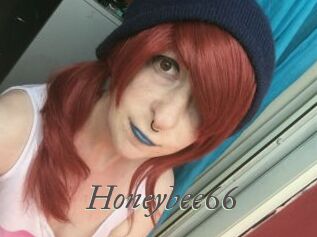 Honeybee66