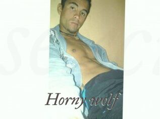 Horny_wolf