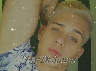 JoaoDoSantos