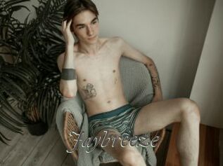 Jaybreeze