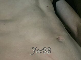 Joe88