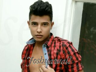 Joshuawall