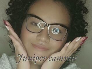 Juniper_camrose