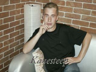 Kanesteep