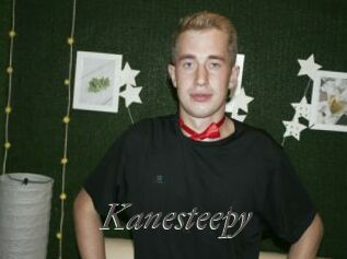 Kanesteepy