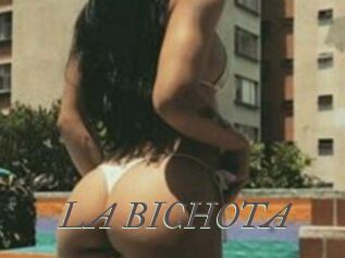 LA_BICHOTA
