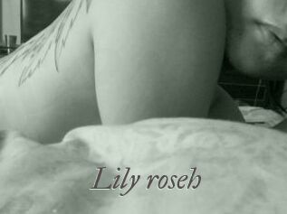 Lily_roseh