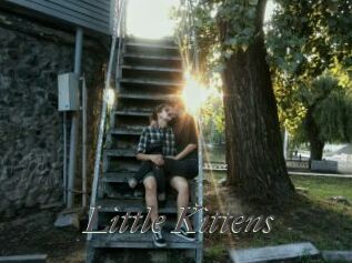 Little_Kittens